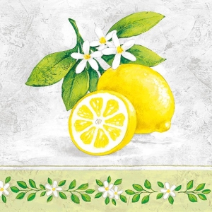 German Decoupage Napkins (5 pcs) - Lemon Branch