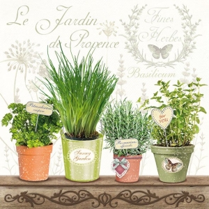 German Decoupage Napkins (5 pcs) - Plant Pots