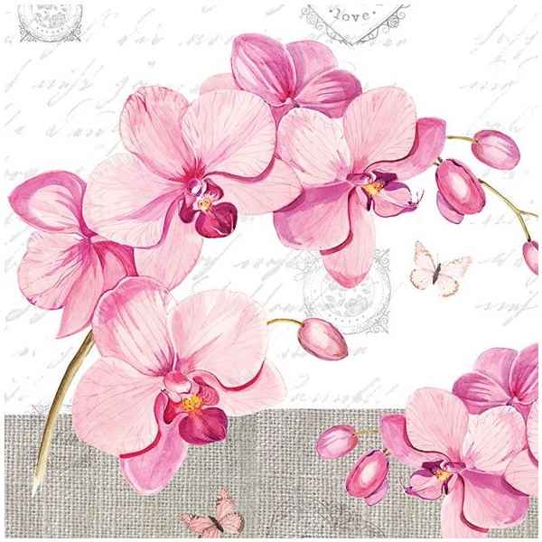 A pack of 12 by 12 inch German Decoupage Napkins (5 pcs) - Orchids with Love