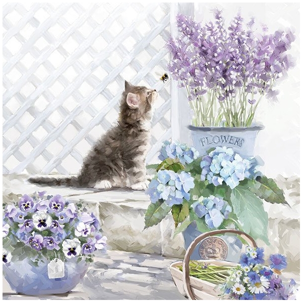 A pack of 12 by 12 inch German Decoupage Napkins (5 pcs) - Kitten