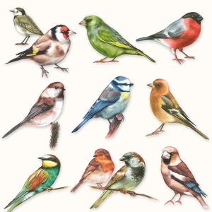 German Decoupage Napkins (5 pcs) - Collection of Birds