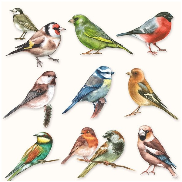 German Decoupage Napkins (5 pcs) - Collection of Birds