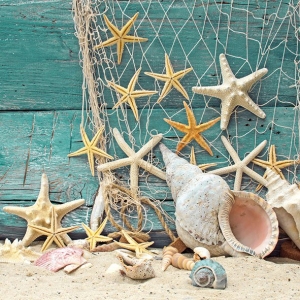 German Decoupage Napkins (5 pcs) - Starfish