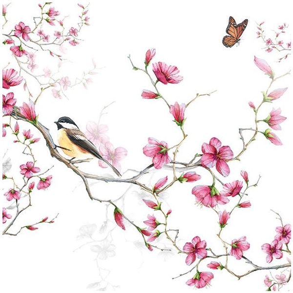 A pack of 12 by 12 inch German Decoupage Napkins (5 pcs) - Bird and Blossom White