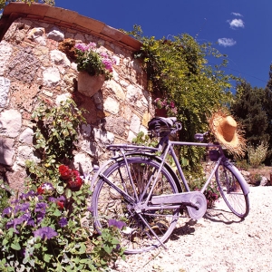 A pack of 12 by 12 inch German Decoupage Napkins (5 pcs) - Bike in Provence