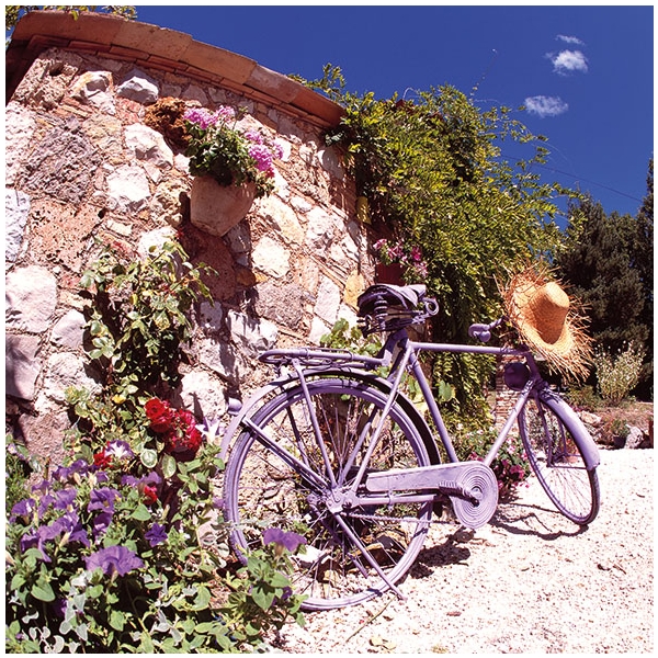 A pack of 12 by 12 inch German Decoupage Napkins (5 pcs) - Bike in Provence