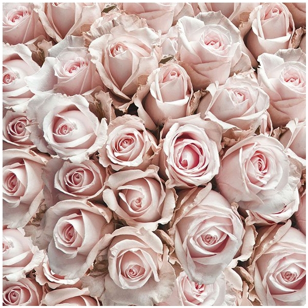 German Decoupage Napkins (5 pcs) - Pastel Roses