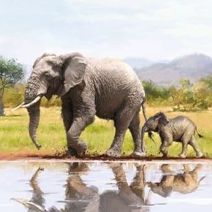 German Decoupage Napkins (5 pcs) - Elephants