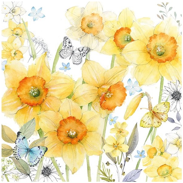 German Decoupage Napkins (5 pcs) - Classic Daffodils
