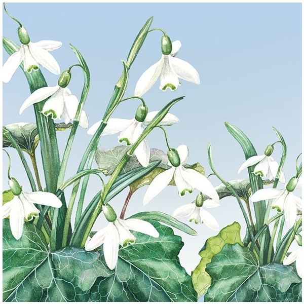 German Decoupage Napkins (5 pcs) - Snowdrops Flowers