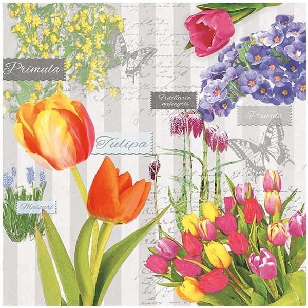 German Decoupage Napkins (5 pcs) - Spring Flowers