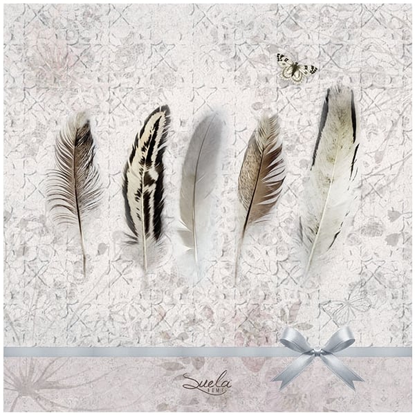 German Decoupage Napkins (5 pcs) - Feathers