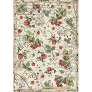 Stamperia Rice Paper A4 - Raspberry