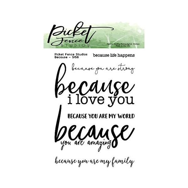 Picket Fence Studios - Clear Photopolymer Stamps - Because