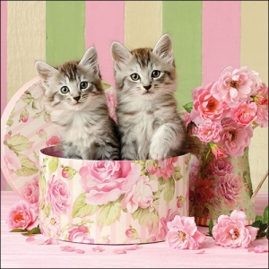 German Decoupage Napkins (5 pcs) - Cats in a Box