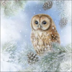 German Decoupage Napkins (5 pcs) - Tawny Owl (Christmas)