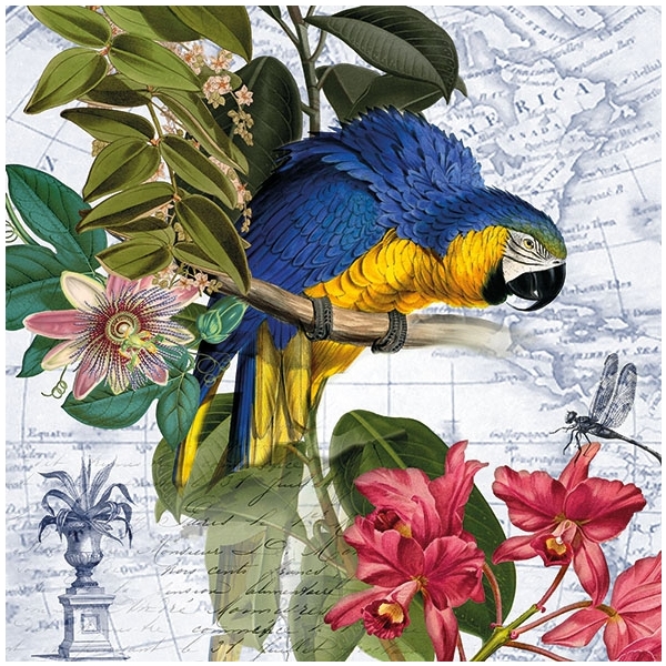 German Decoupage Napkins (5 pcs) - Ara (Bird)