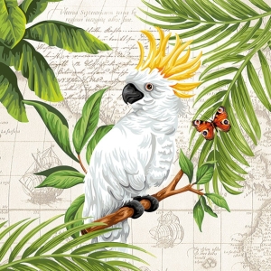 German Decoupage Napkins (5 pcs) - Cockatoo