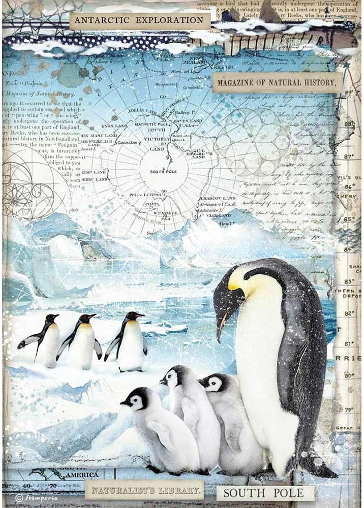 Stamperia Rice Paper A4 - Penguins, Arctic Antarctic