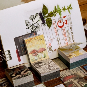 400pcs_journal_ephmera_1