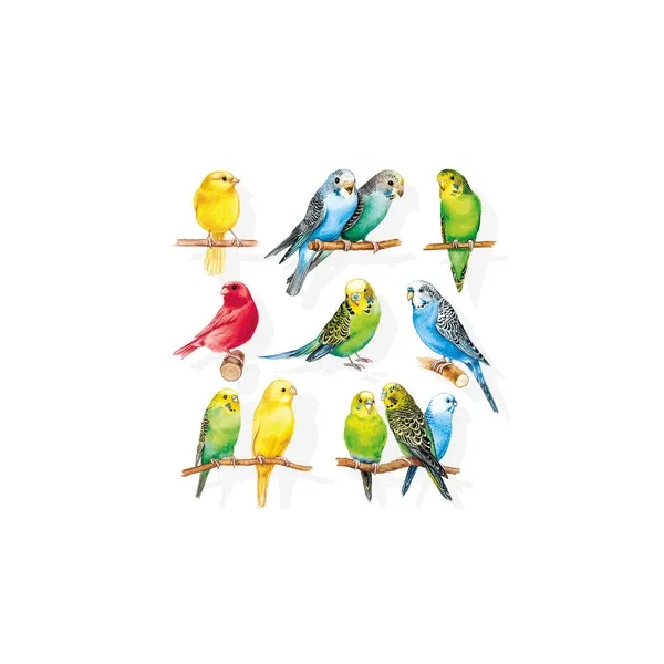 German Decoupage Napkins (5 pcs) - Birdies