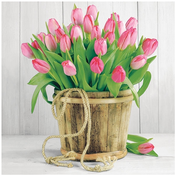 German Decoupage Napkins (5 pcs) - Tulips in a Bucket