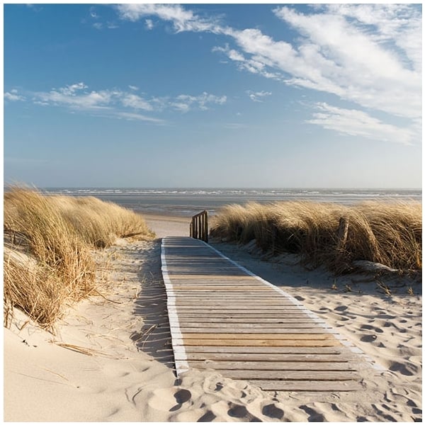German Decoupage Napkins (5 pcs) - Walking to the Sea