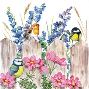 German Decoupage Napkins (5 pcs) - Birds on Fence