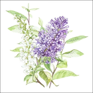 German Decoupage Napkins (5 pcs) - Liliac White