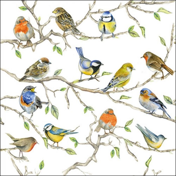 German Decoupage Napkins (5 pcs) - Birds Meeting