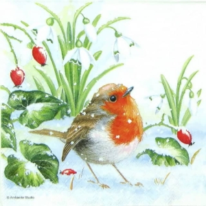German Decoupage Napkins (5 pcs) - Robin (Bird)