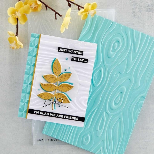 spellbinder_3d_embossing_folders_E3D-028_1
