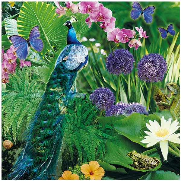 German Decoupage Napkins (5 pcs) - Blue Peacock