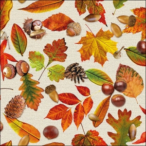 German Decoupage Napkins (5 pcs) - Autumn Festival