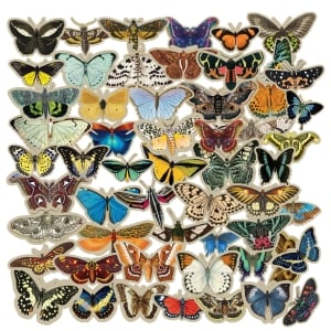 CTDCP 40 CrafTangles Die cuts ephemera Vintage Butterflies 1